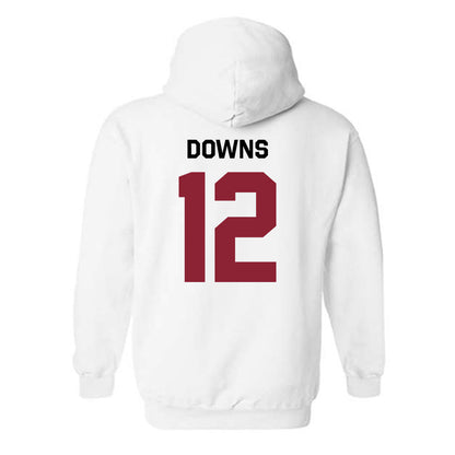 South Carolina - NCAA Beach Volleyball : Morgan Downs - Classic Shersey Hooded Sweatshirt-1