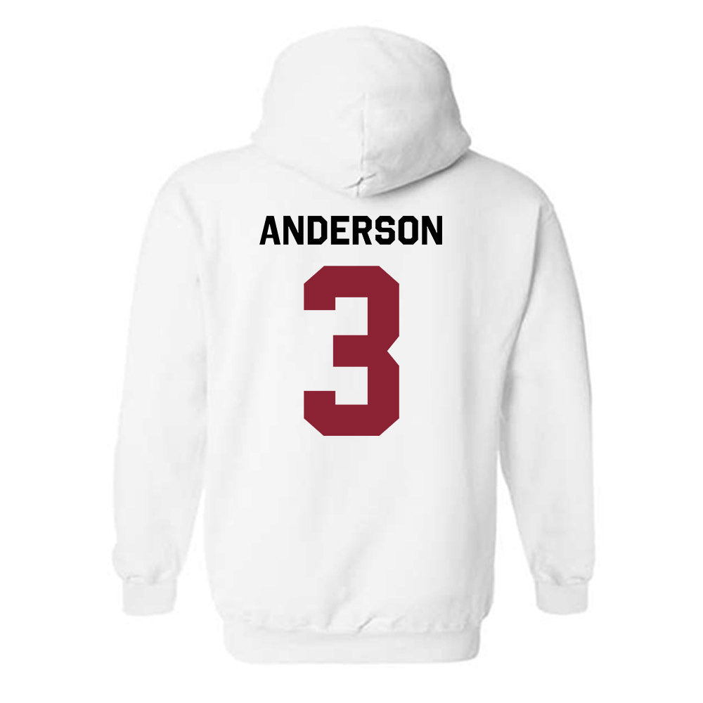 South Carolina - NCAA Softball : Shae Anderson - Classic Shersey Hooded Sweatshirt-1