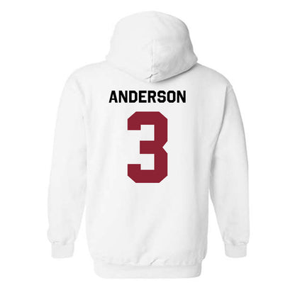 South Carolina - NCAA Softball : Shae Anderson - Classic Shersey Hooded Sweatshirt-1
