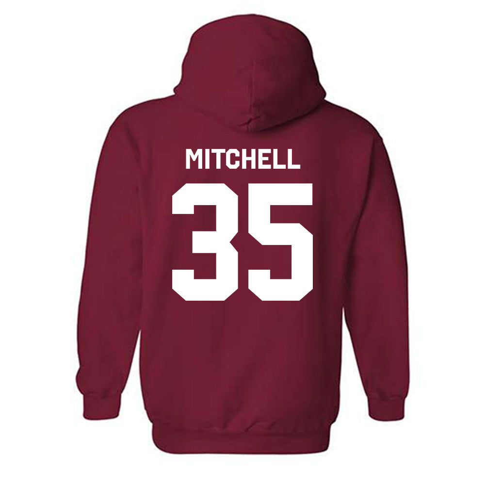 Arkansas - NCAA Baseball : Cayden Mitchell - Classic Shersey Hooded Sweatshirt-1