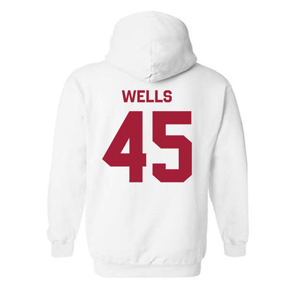 Arkansas - NCAA Softball : Jayden Wells - Classic Shersey Hooded Sweatshirt-1