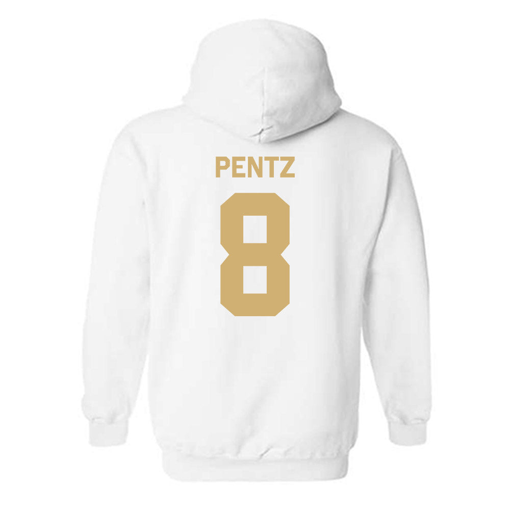 Vanderbilt - NCAA Women's Soccer : Reagan Pentz - Classic Shersey Hooded Sweatshirt-1