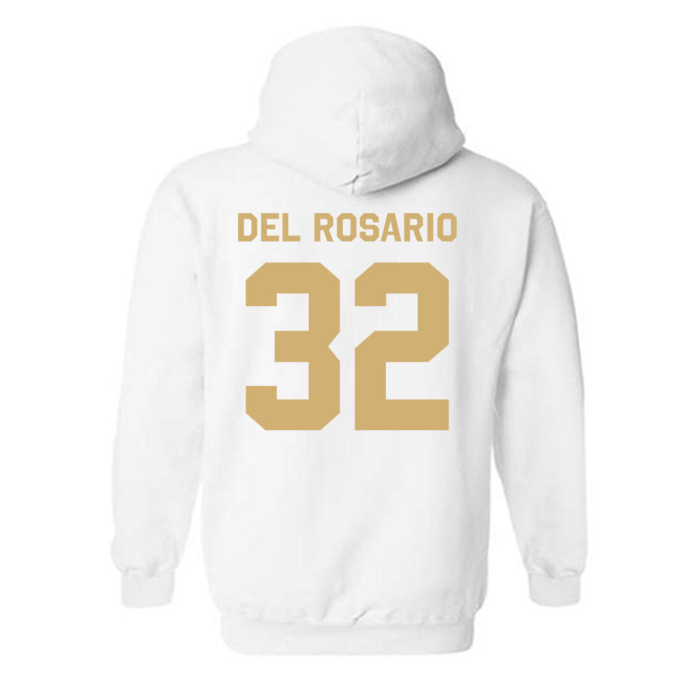 Vanderbilt - NCAA Women's Basketball : Aalyah Del Rosario - Classic Shersey Hooded Sweatshirt-1