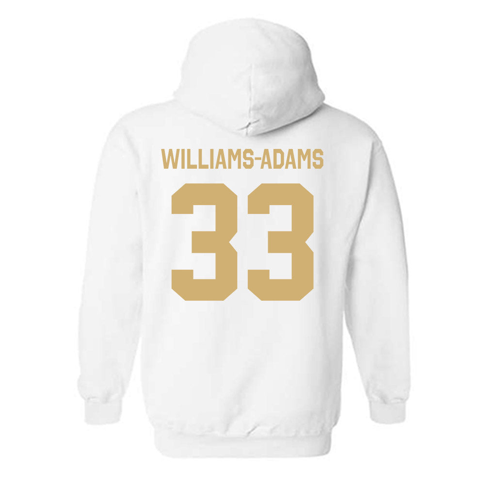 Vanderbilt - NCAA Men's Basketball : Sebastian Williams-Adams - Classic Shersey Hooded Sweatshirt-1