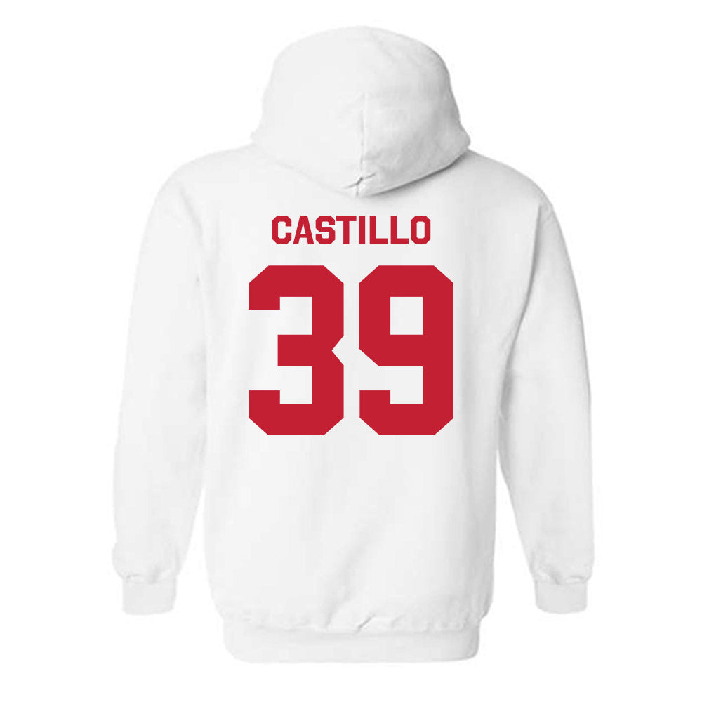 New Mexico - NCAA Baseball : Ryan Castillo - Classic Shersey Hooded Sweatshirt-1