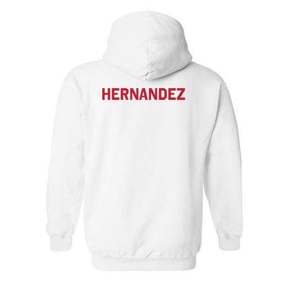 New Mexico - NCAA Men's Cross Country : Jayden Hernandez - Classic Shersey Hooded Sweatshirt-1