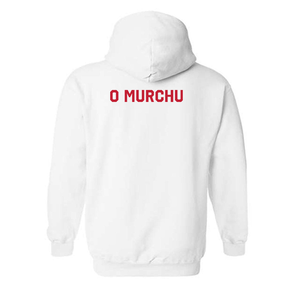 New Mexico - NCAA Men's Track & Field : Fionn O Murchu - Classic Shersey Hooded Sweatshirt-1
