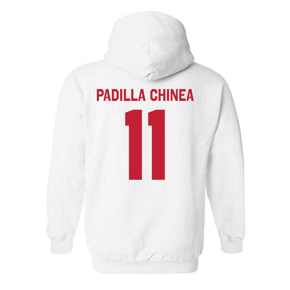 New Mexico - NCAA Women's Basketball : Nayli Padilla Chinea - Classic Shersey Hooded Sweatshirt-1