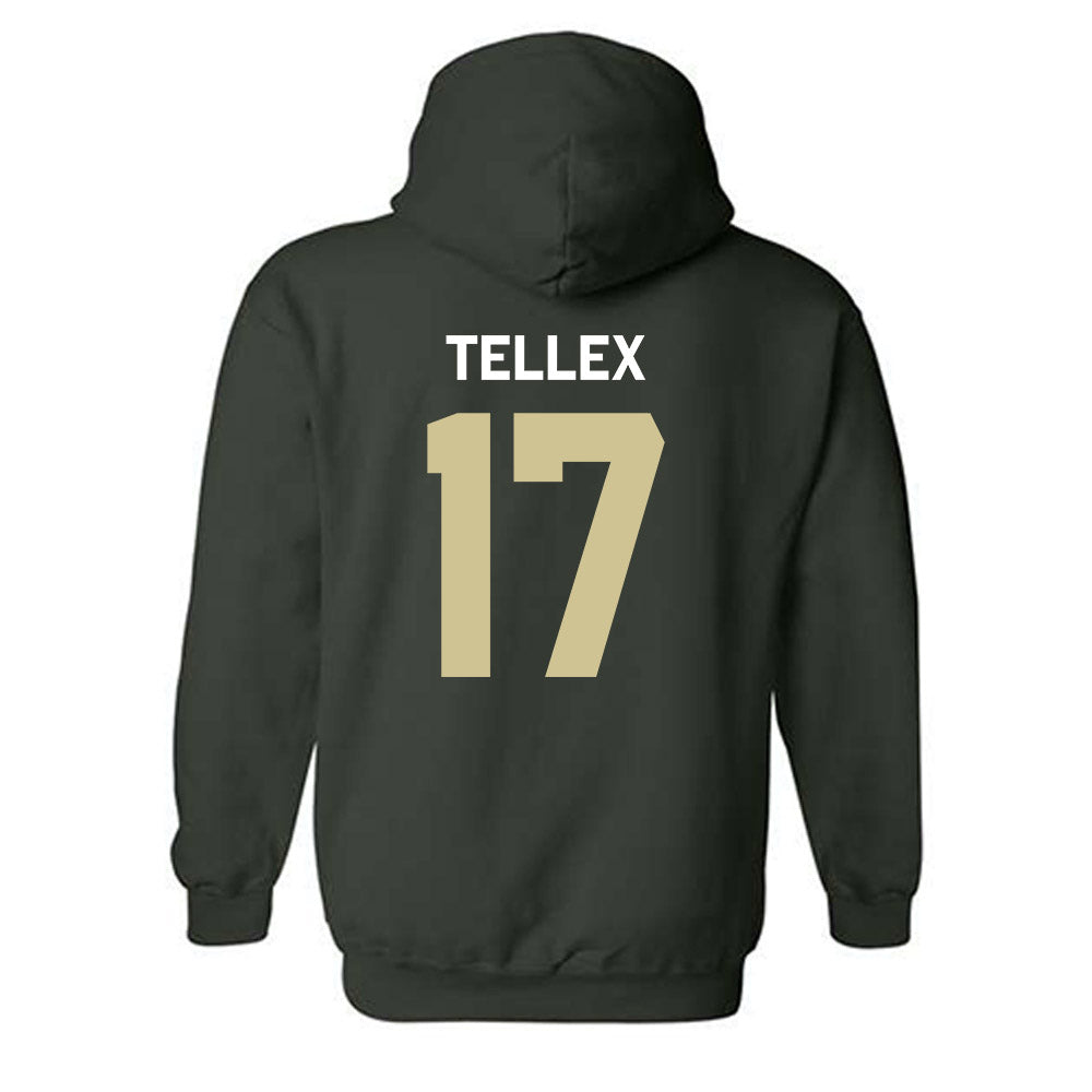 USF - NCAA Women's Soccer : Delaney Tellex - Classic Shersey Hooded Sweatshirt-1