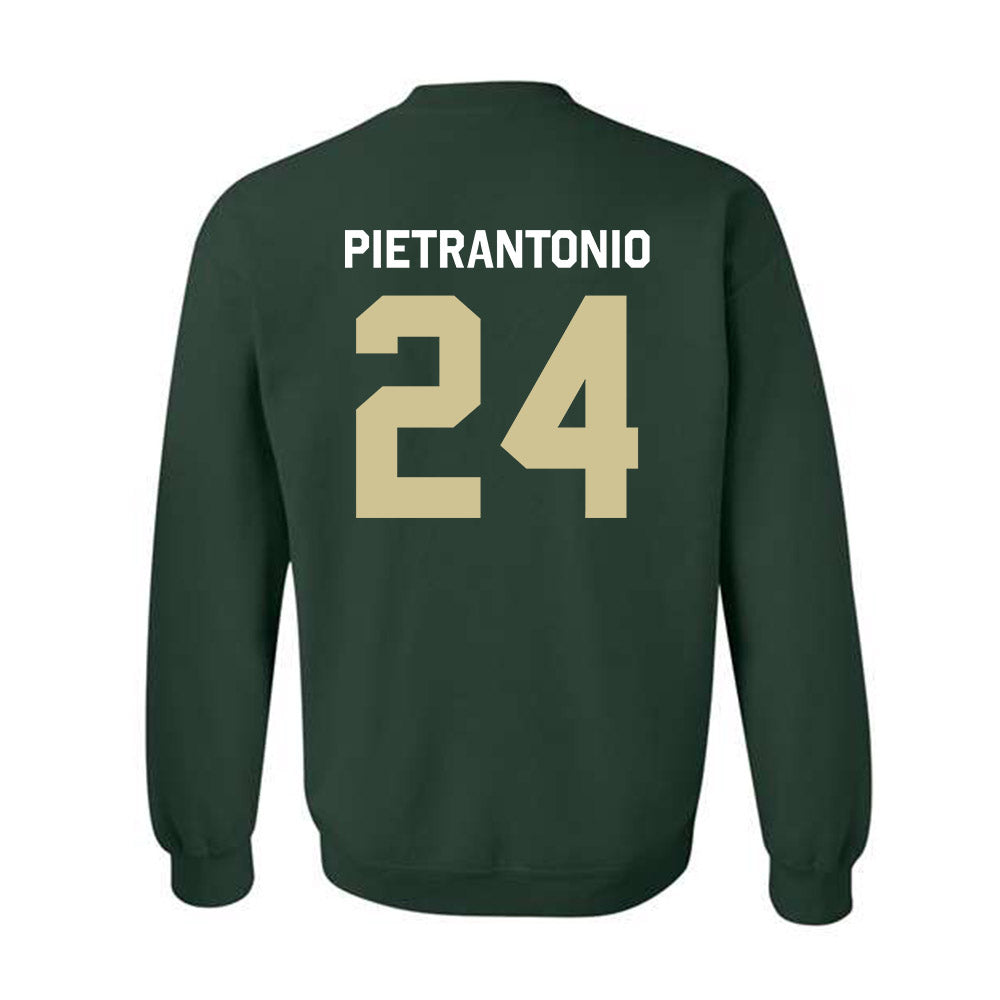 USF - NCAA Men's Soccer : Nicolas Pietrantonio - Classic Shersey Crewneck Sweatshirt-1