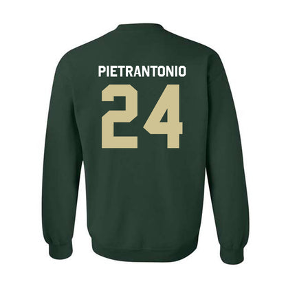 USF - NCAA Men's Soccer : Nicolas Pietrantonio - Classic Shersey Crewneck Sweatshirt-1