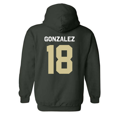 USF - NCAA Men's Soccer : Jacobo Gonzalez - Classic Shersey Hooded Sweatshirt-1