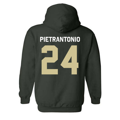 USF - NCAA Men's Soccer : Nicolas Pietrantonio - Classic Shersey Hooded Sweatshirt-1
