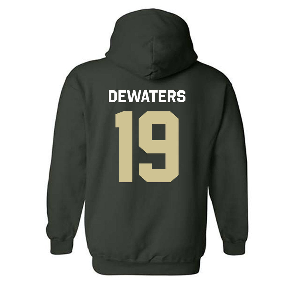 USF - NCAA Softball : Abbie DeWaters - Classic Shersey Hooded Sweatshirt-1