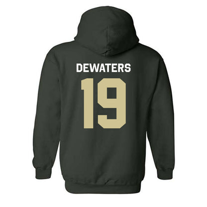 USF - NCAA Softball : Abbie DeWaters - Classic Shersey Hooded Sweatshirt-1