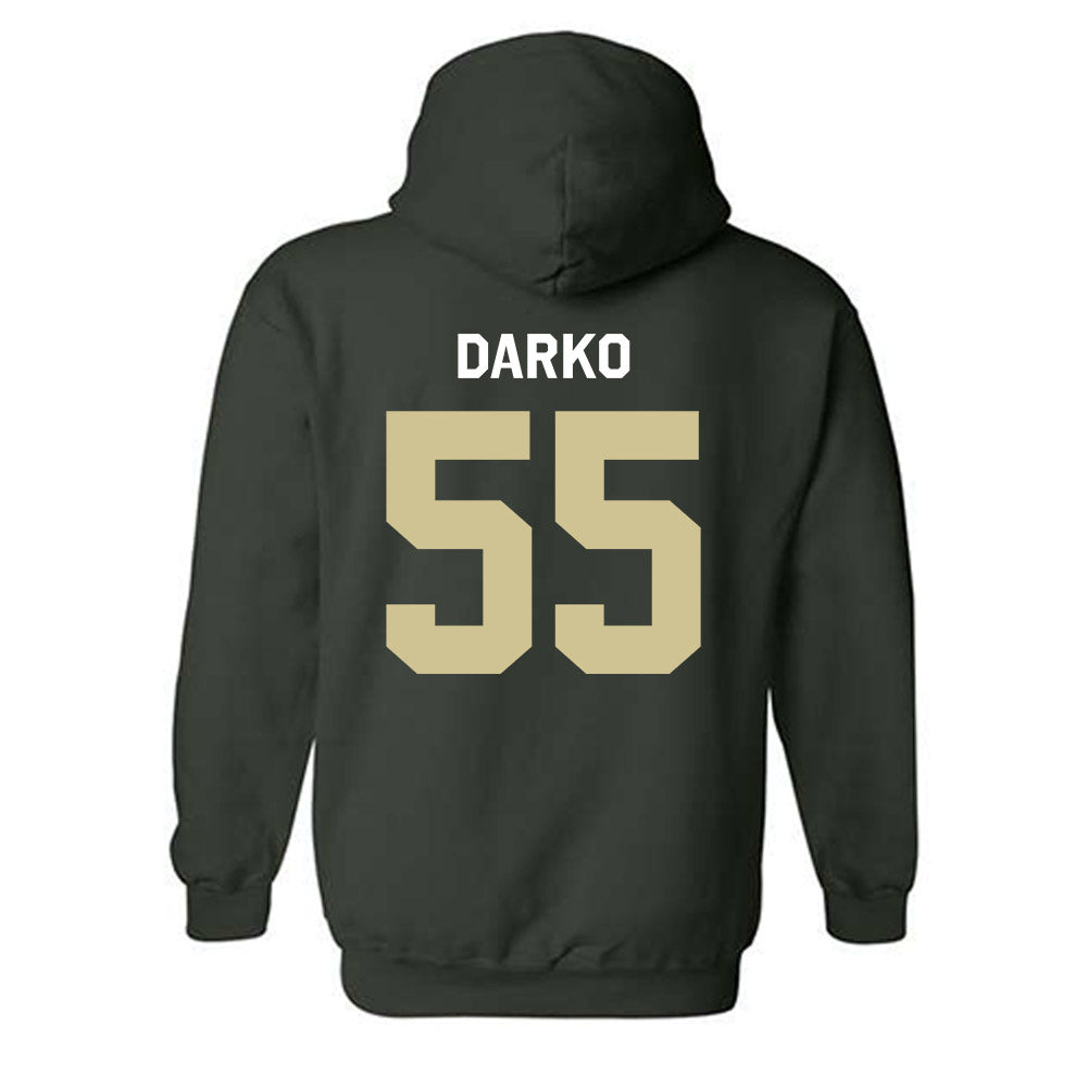 USF - NCAA Women's Lacrosse : Hailey Darko - Classic Shersey Hooded Sweatshirt-1