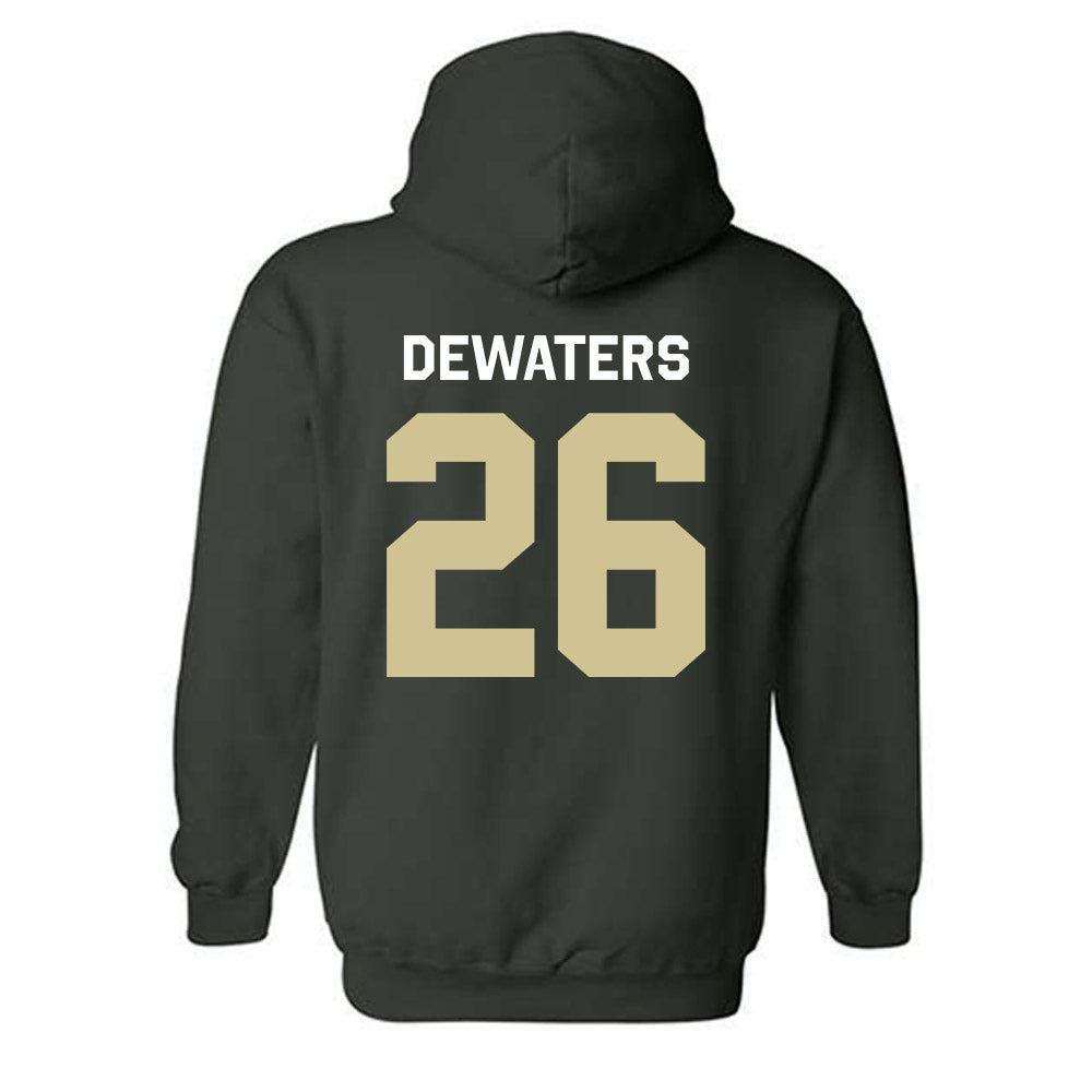 USF - NCAA Softball : Alice DeWaters - Classic Shersey Hooded Sweatshirt-1