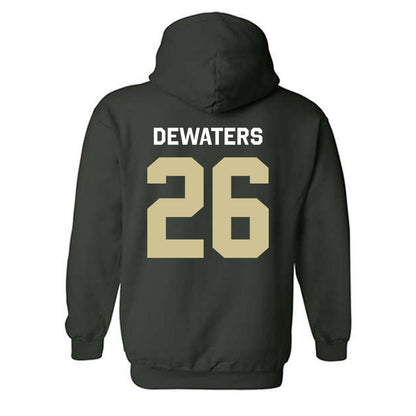 USF - NCAA Softball : Alice DeWaters - Classic Shersey Hooded Sweatshirt-1