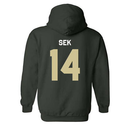 USF - NCAA Beach Volleyball : Josephine Sek - Classic Shersey Hooded Sweatshirt-1