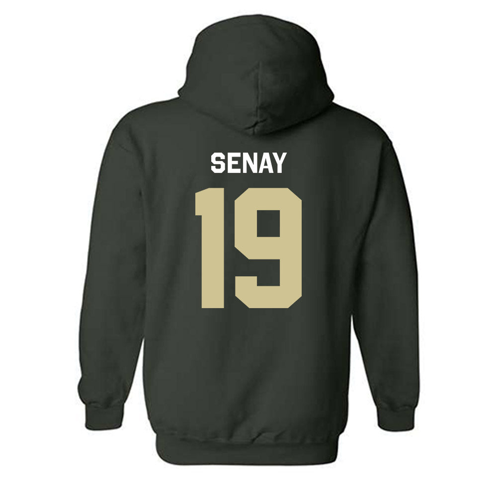 USF - NCAA Baseball : Michael Senay - Classic Shersey Hooded Sweatshirt-1
