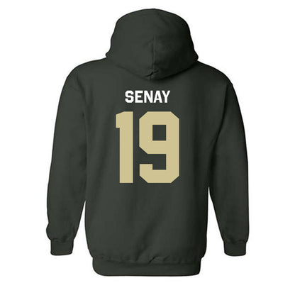 USF - NCAA Baseball : Michael Senay - Classic Shersey Hooded Sweatshirt-1