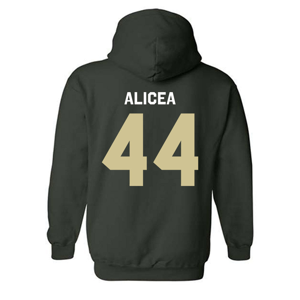 USF - NCAA Baseball : Edwin Alicea - Classic Shersey Hooded Sweatshirt-1