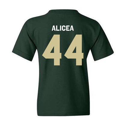 USF - NCAA Baseball : Edwin Alicea - Classic Shersey Youth T-Shirt-1