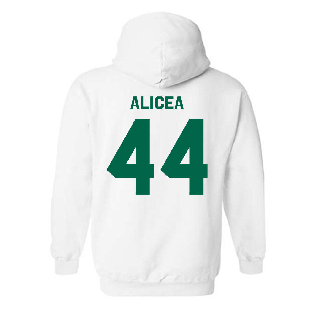 USF - NCAA Baseball : Edwin Alicea - Classic Shersey Hooded Sweatshirt-1