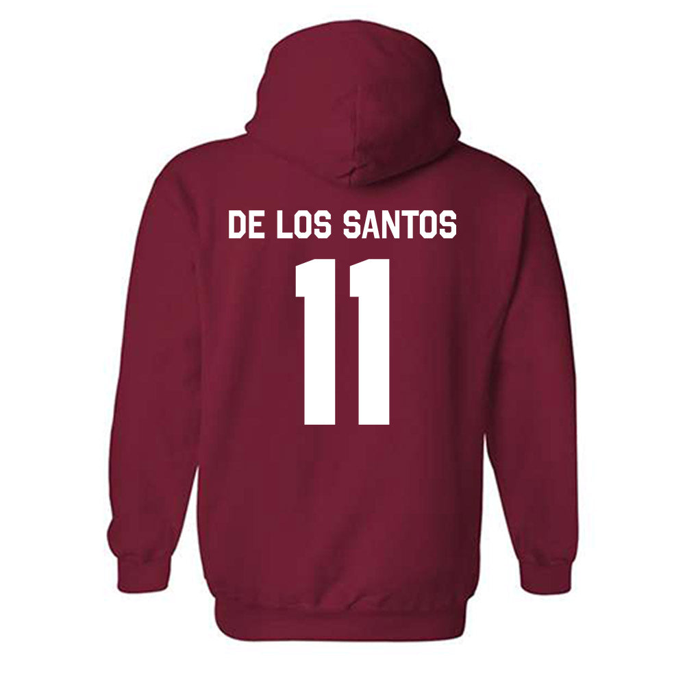 WSU - NCAA Women's Soccer : Ana De Los Santos - Classic Shersey Hooded Sweatshirt-3