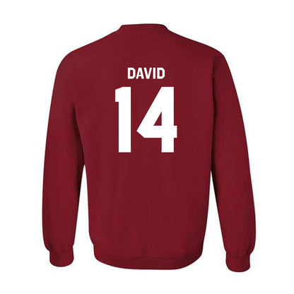 Stanford - NCAA Baseball : Sebastian David - Classic Shersey Crewneck Sweatshirt-1