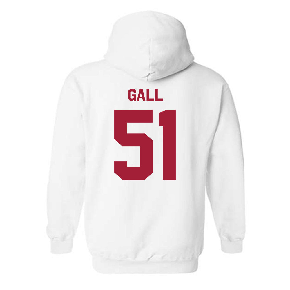 Stanford - NCAA Softball : Ava Gall - Classic Shersey Hooded Sweatshirt-1