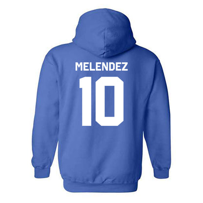 Seton Hall - NCAA Softball : Tiffany Melendez - Classic Shersey Hooded Sweatshirt-3