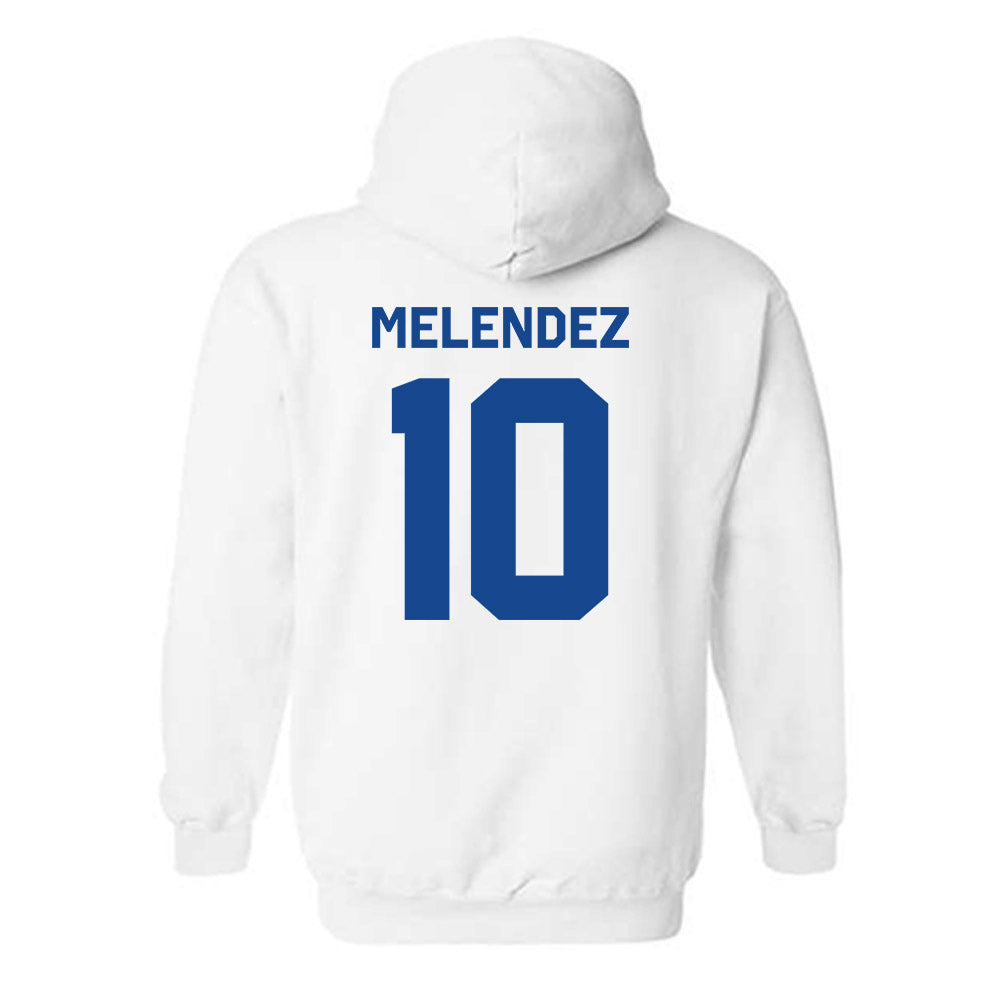Seton Hall - NCAA Softball : Tiffany Melendez - Classic Shersey Hooded Sweatshirt-2