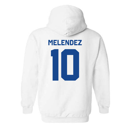 Seton Hall - NCAA Softball : Tiffany Melendez - Classic Shersey Hooded Sweatshirt-2