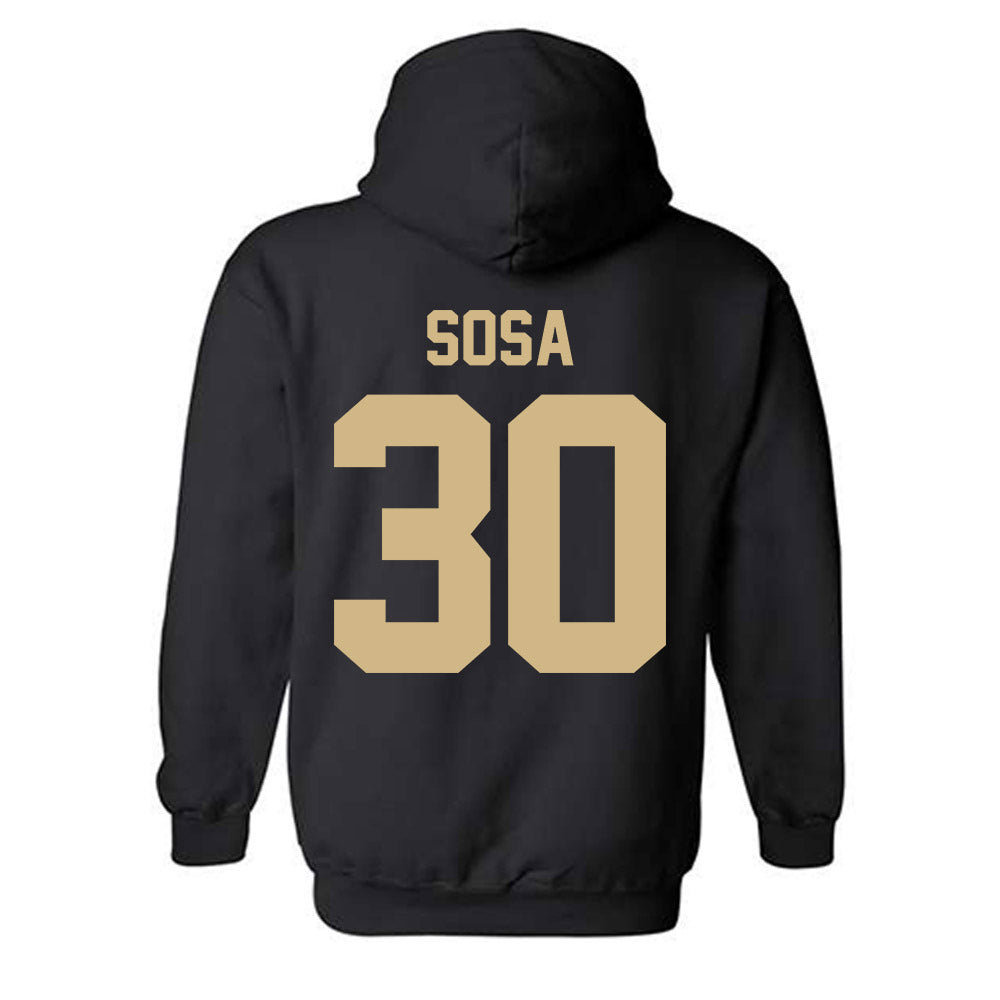 Purdue - NCAA Softball : Gabriela Sosa - Classic Shersey Hooded Sweatshirt-1