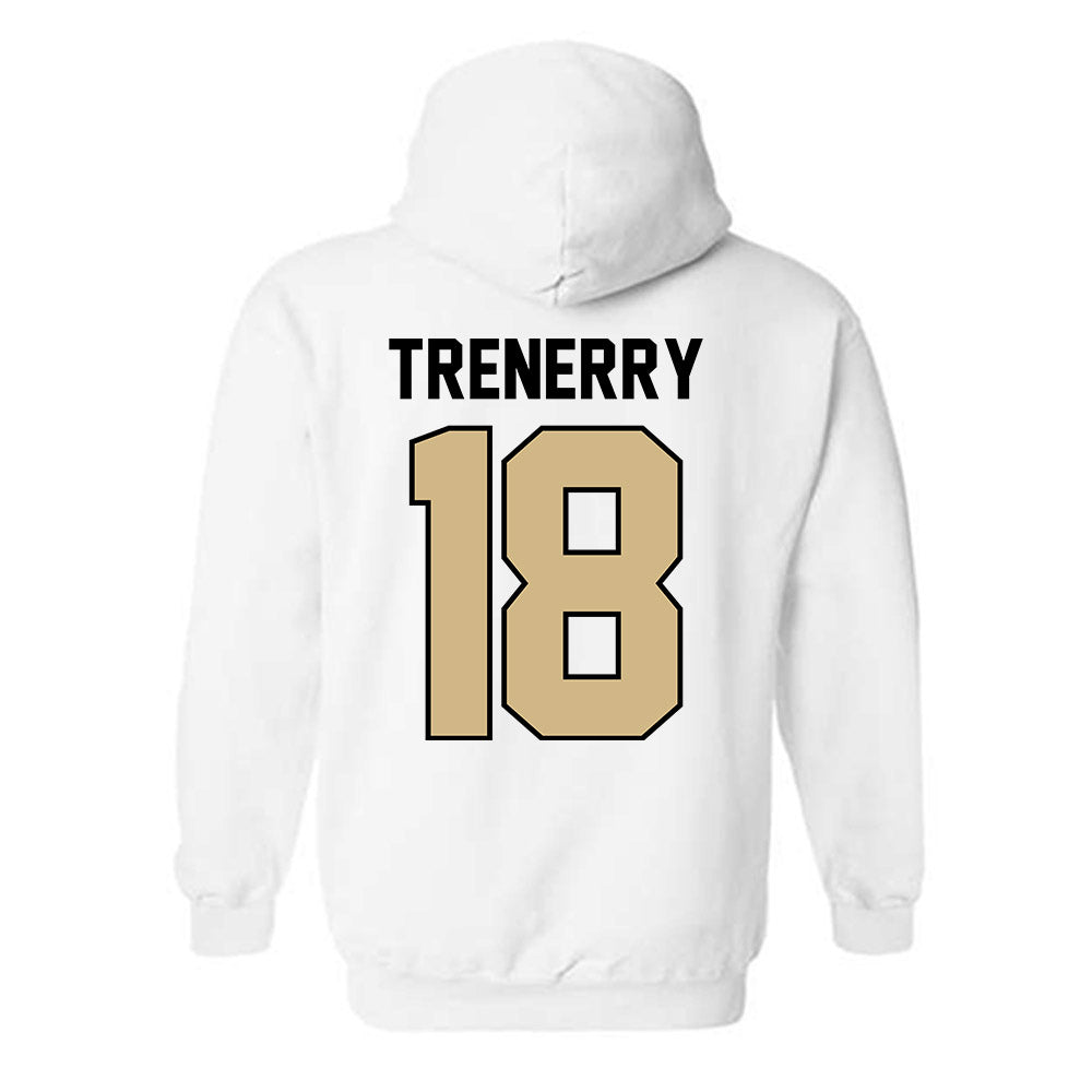 Purdue - NCAA Baseball : Joe Trenerry - Classic Shersey Hooded Sweatshirt-1