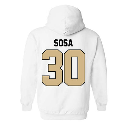 Purdue - NCAA Softball : Gabriela Sosa - Classic Shersey Hooded Sweatshirt-1