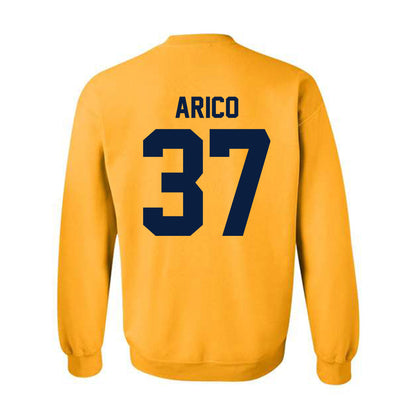 Michigan - NCAA Women's Lacrosse : Emma Arico - Classic Shersey Crewneck Sweatshirt-1