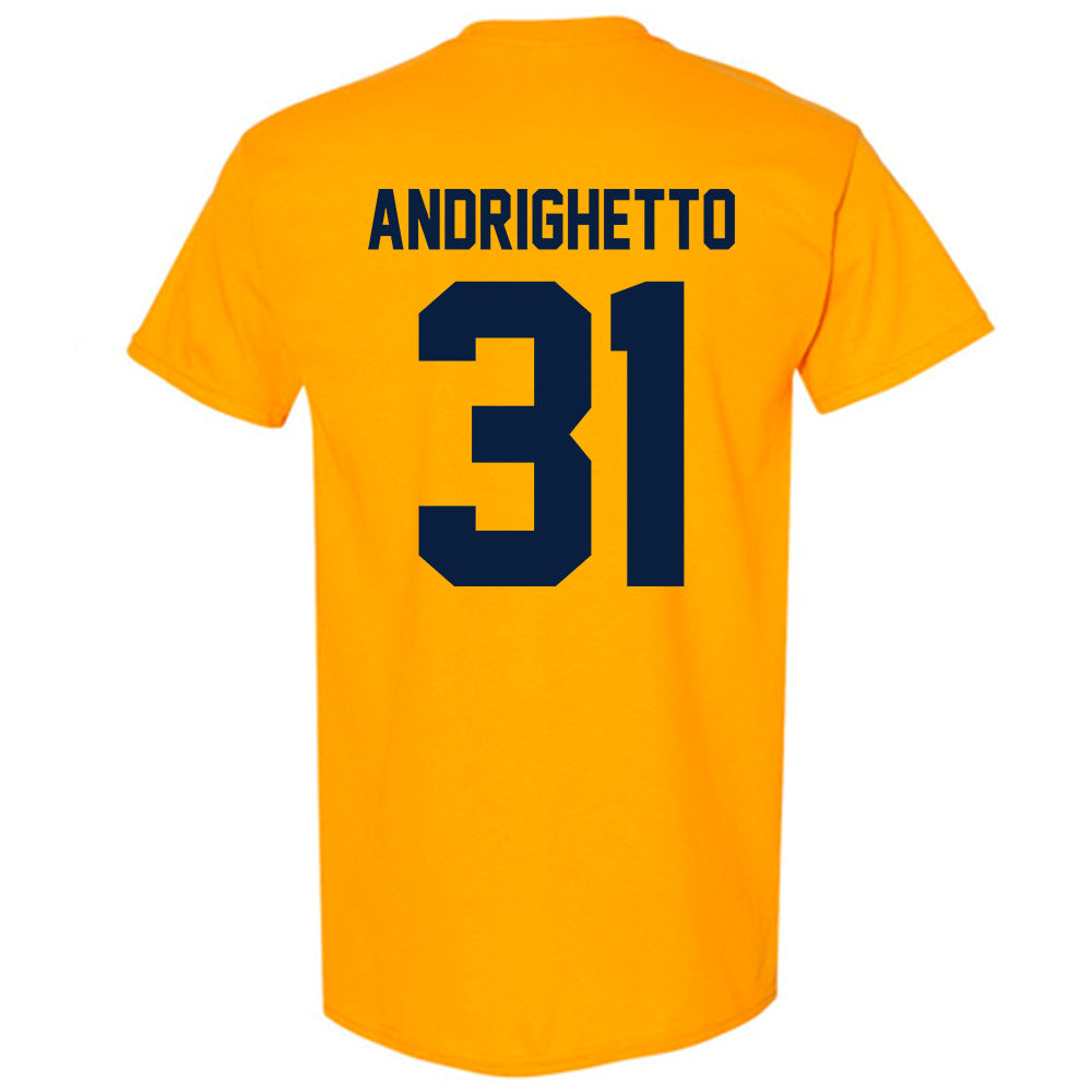 Michigan - NCAA Football : Nico Andrighetto - Classic Shersey T-Shirt-1