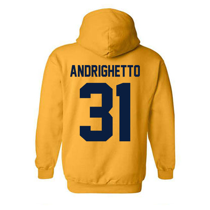 Michigan - NCAA Football : Nico Andrighetto - Classic Shersey Hooded Sweatshirt-1