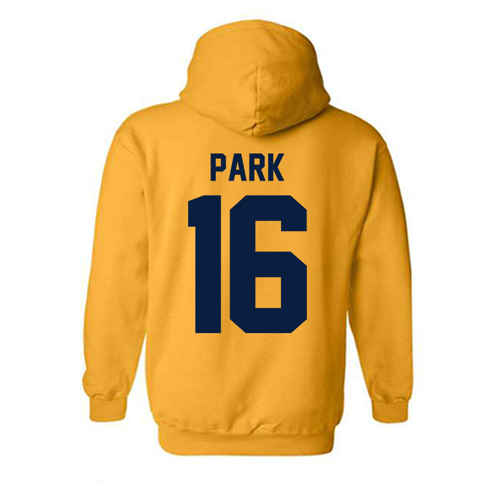 Michigan - NCAA Men's Ice Hockey : Aidan Park - Classic Shersey Hooded Sweatshirt-1