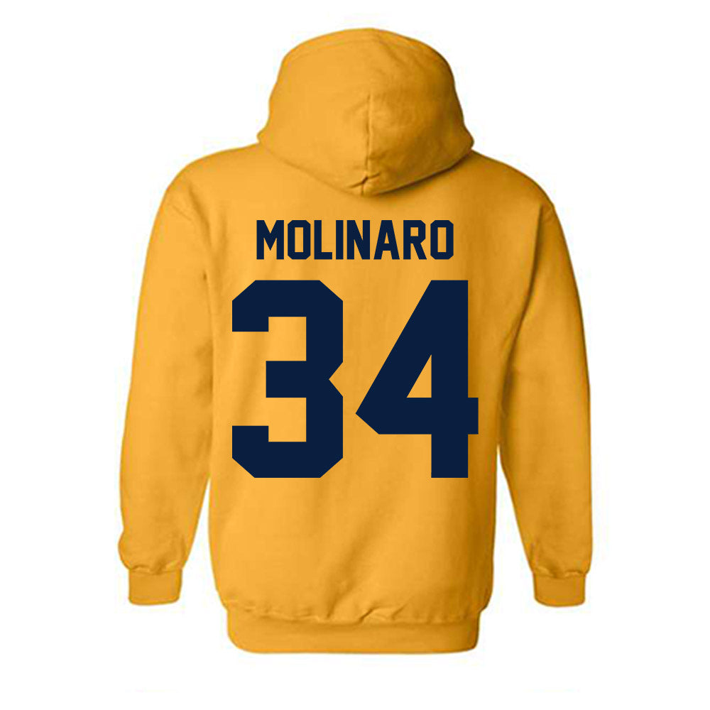 Michigan - NCAA Men's Ice Hockey : Julian Molinaro - Classic Shersey Hooded Sweatshirt-3