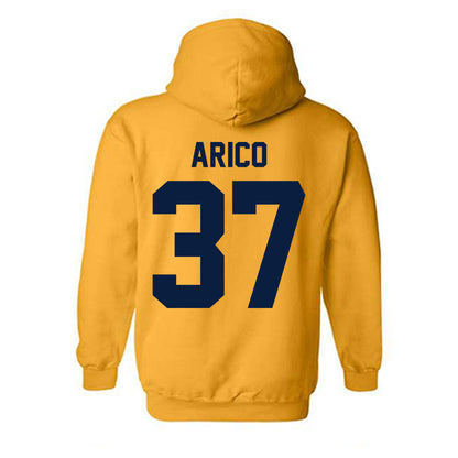 Michigan - NCAA Women's Lacrosse : Emma Arico - Classic Shersey Hooded Sweatshirt-1