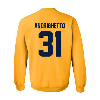 Michigan - NCAA Football : Nico Andrighetto - Classic Shersey Crewneck Sweatshirt-1