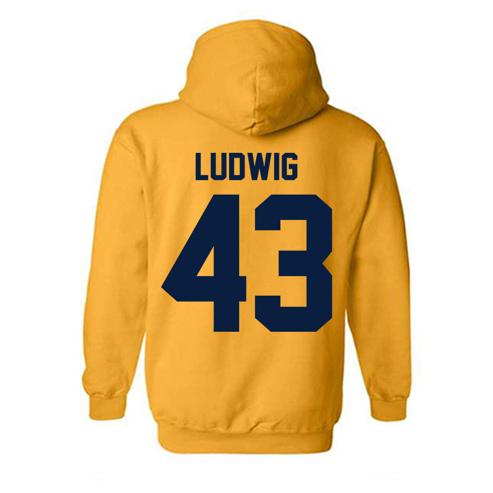 Michigan - NCAA Football : Zach Ludwig - Classic Shersey Hooded Sweatshirt-1