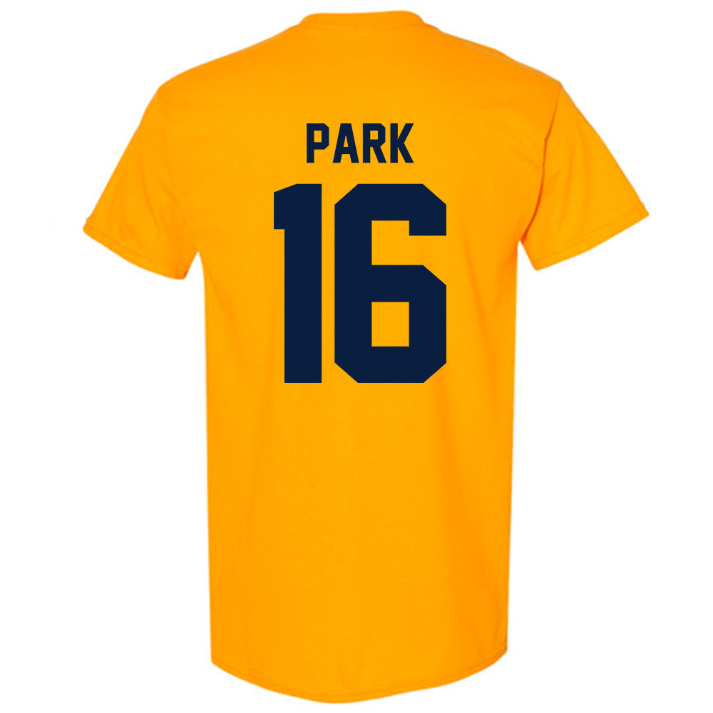 Michigan - NCAA Men's Ice Hockey : Aidan Park - Classic Shersey T-Shirt-1