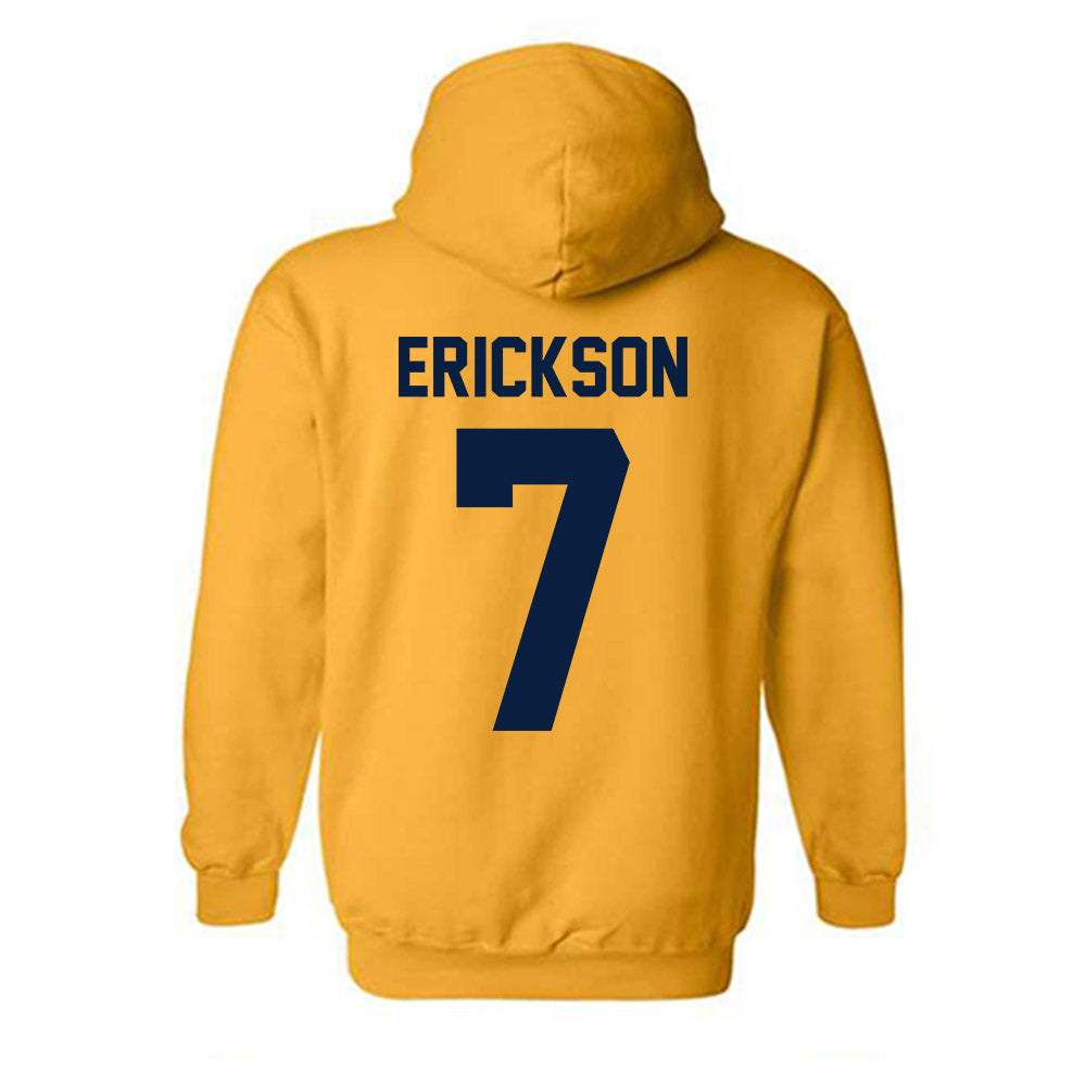 Michigan - NCAA Softball : Maddie Erickson - Classic Shersey Hooded Sweatshirt-3
