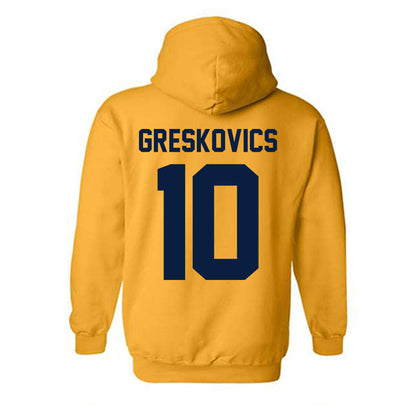 Michigan - NCAA Women's Volleyball : Carly Greskovics - Classic Shersey Hooded Sweatshirt-1