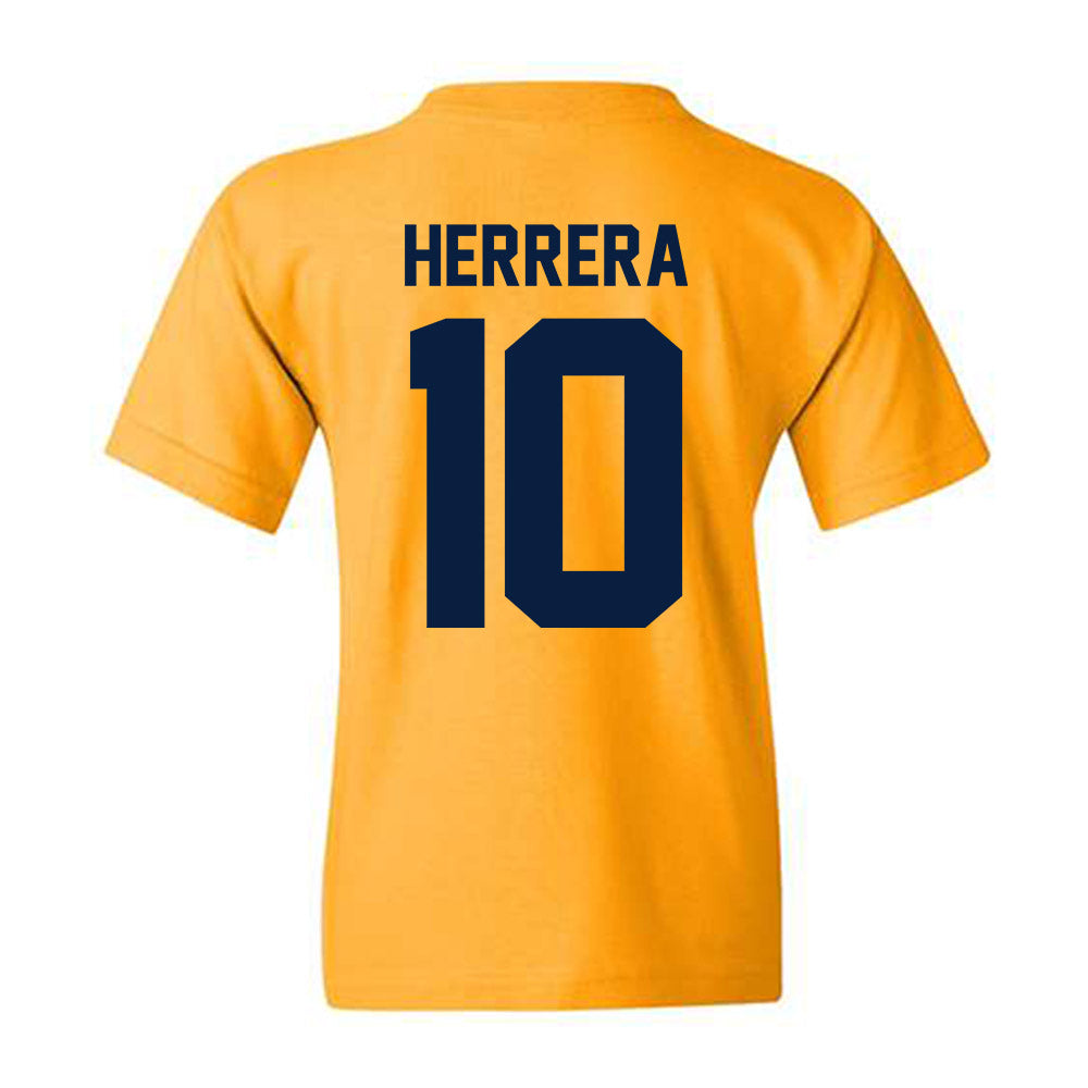 Michigan - NCAA Men's Soccer : Duilio Herrera - Classic Shersey Youth T-Shirt-1