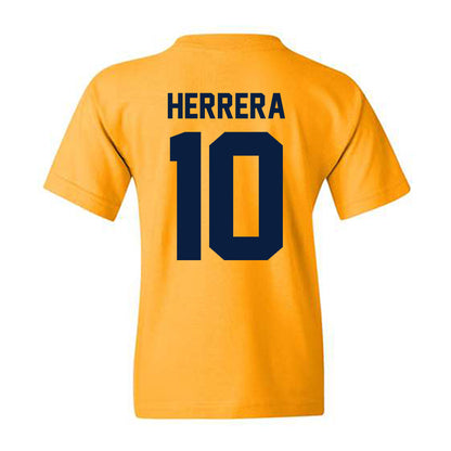 Michigan - NCAA Men's Soccer : Duilio Herrera - Classic Shersey Youth T-Shirt-1